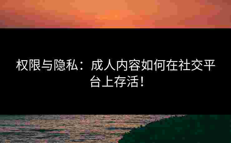 权限与隐私：成人内容如何在社交平台上存活！