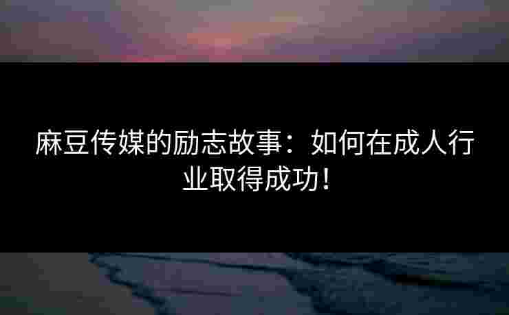 麻豆传媒的励志故事：如何在成人行业取得成功！