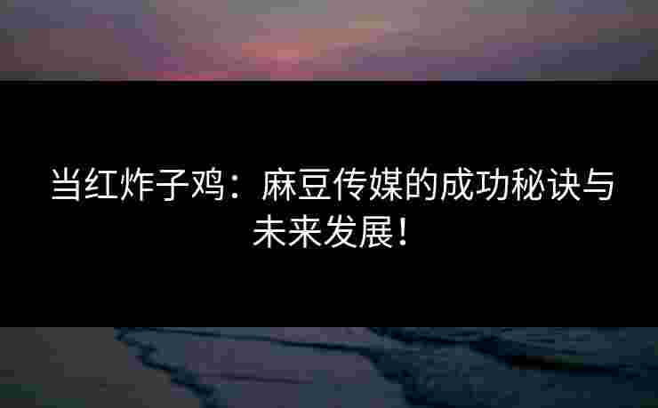 当红炸子鸡：麻豆传媒的成功秘诀与未来发展！