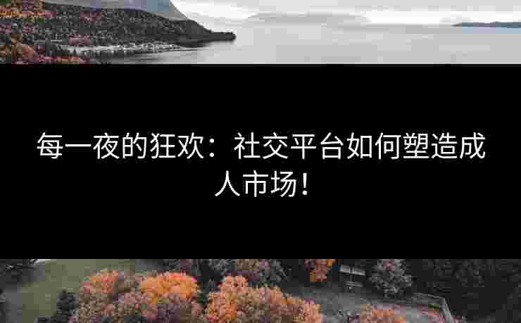 每一夜的狂欢：社交平台如何塑造成人市场！