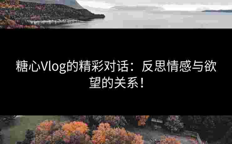 糖心Vlog的精彩对话：反思情感与欲望的关系！